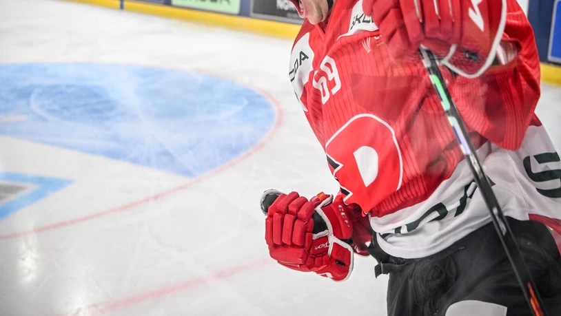 Jubel zum Finaleinzug: Pardubices Lukas Radil freut sich im Spiel gegen das Team Canada.