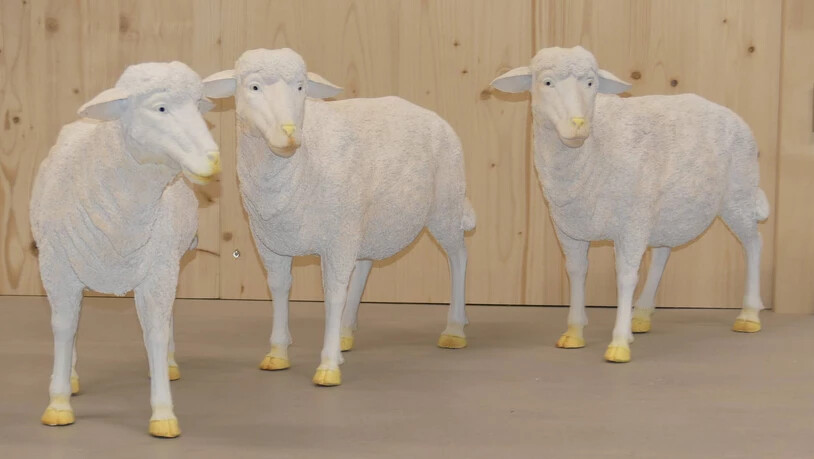 Die Schafe sind Teil der vorweihnachtlichen Installation bei der Aregger GmbH. Das ganze Bild wird am Freitag enthüllt.