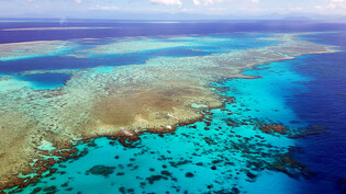 Das Great Barrier Reef vor der Küste des australischen Bundesstaates Queensland gehört seit 1981 zum Unesco-Welterbe. Wegen des Klimawandels sind grosse Teile des Korallenriffs gefährdet. (Archivbild)