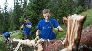 Jugendliche im Einsatz für das Bergwaldprojekt.