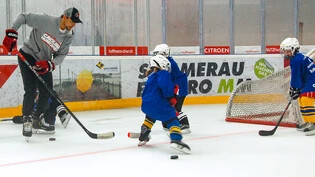 Mit vollem Eifer gegen den NHL-Stürmer: Churer Kids im Training mit Nino Niederreiter.