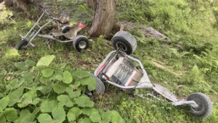 In einen Baum geprallt: Im Juni starb eine Person bei einem Unfall mit einem Mountaincart in Elm.