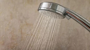 Vorsorgen: Wenig benutzte Wasserentnahmestellen sollten regelmässig mit heissem Wasser durchgespült werden.