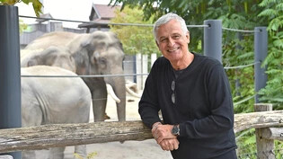 Elefantenflüsterer:  Franco Knie senior ist froh, dass er den einst so schüchternen Bullen Thisiam nie aufgegeben hat.