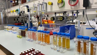 Im Fokus: Nahrungsergänzungsmittel werden im Labor analysiert. 