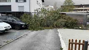 Osterwetter: Auch in Chur konnten einige Bäume den starken Sturmböen nicht standhalten. 